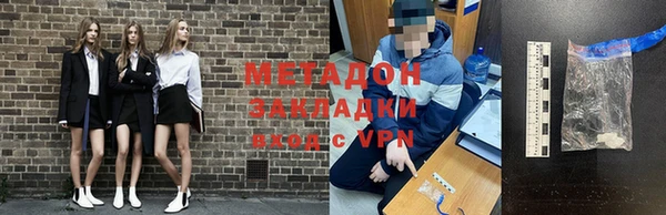 прущие грибы Волоколамск