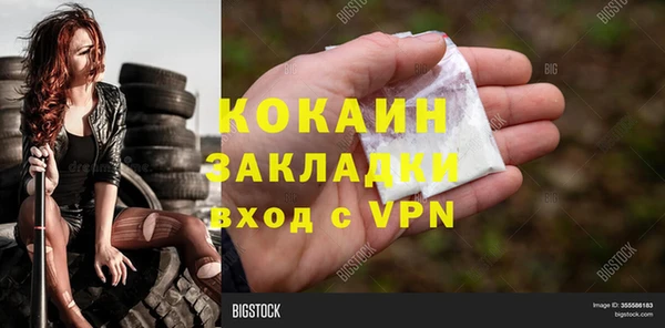 прущие грибы Волоколамск