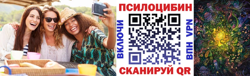как найти наркотики  OMG   Псилоцибиновые грибы прущие грибы  Дальнегорск 